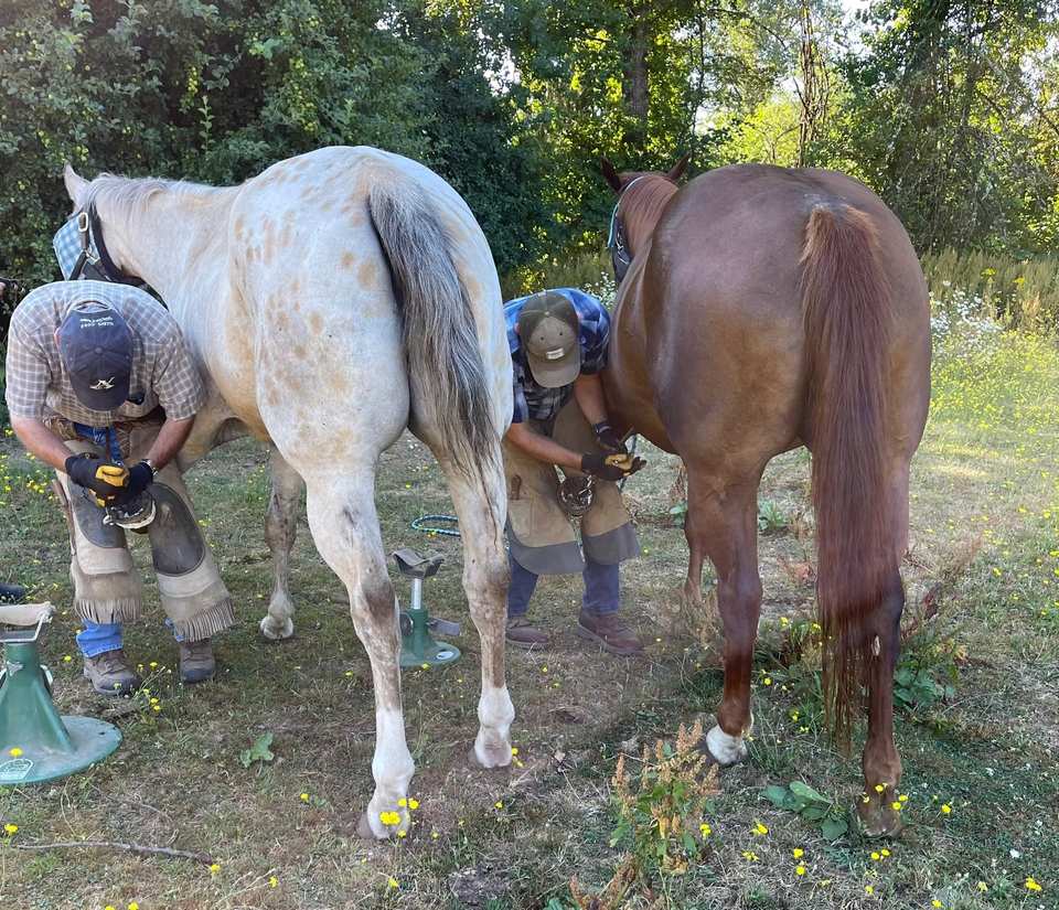 Farriers working side by side outdoors
