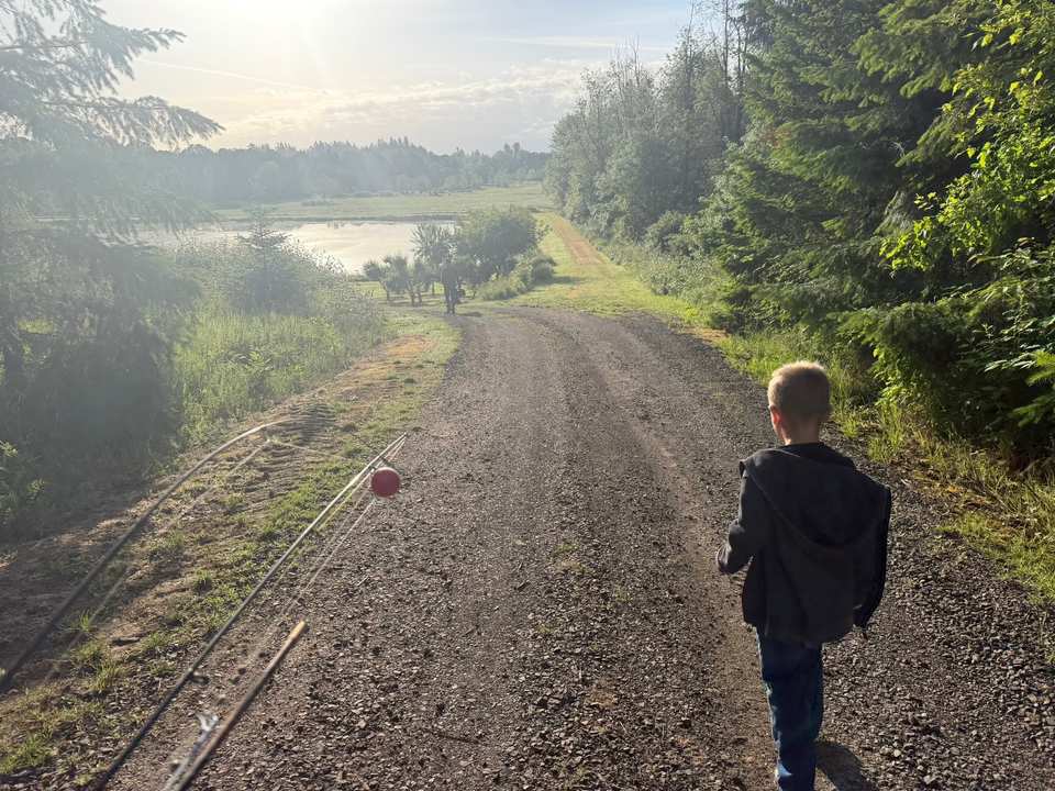 A quiet road through the Allen family's Oregon landscape